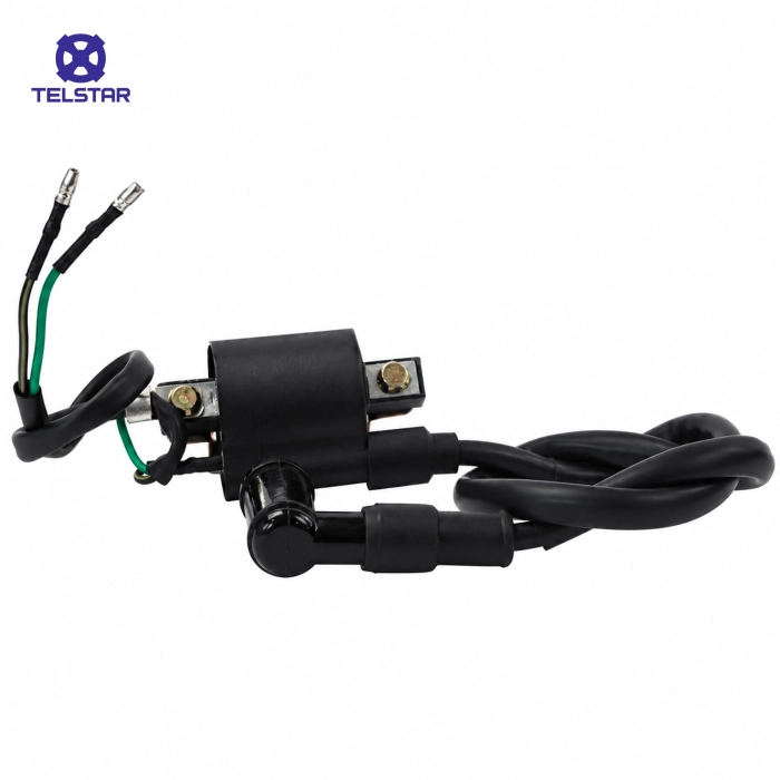 Електрическо реле за  TS707 125cc - 4945