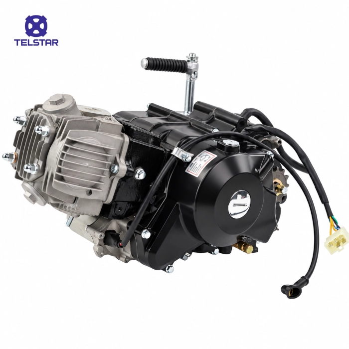 ДВИГАТЕЛ TS707 125cc - 4976